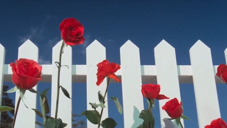 кадр из фильма Синий бархат