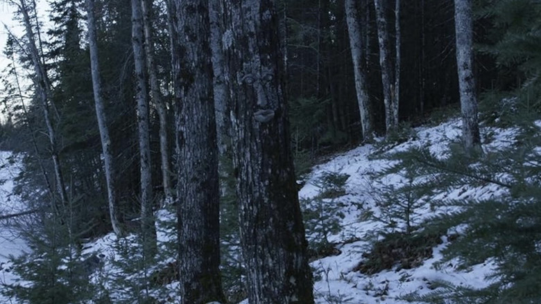 кадр из фильма Don't Leave Yet