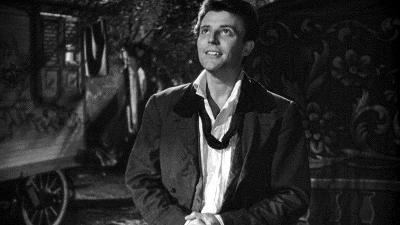 кадр из фильма Красота дьявола