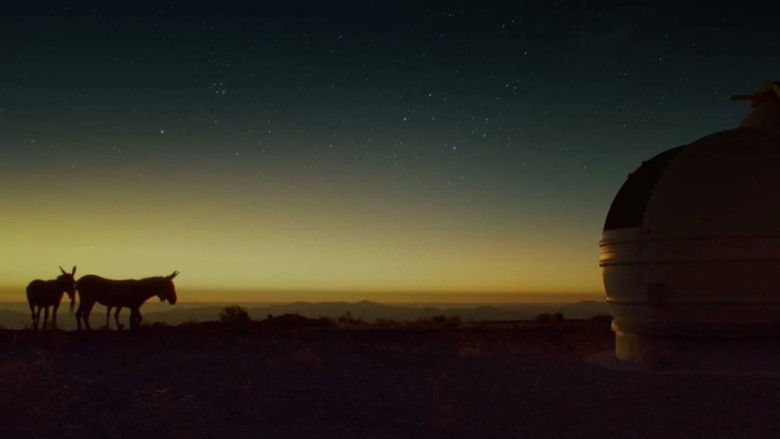 кадр из фильма Une parfaite étrangeté