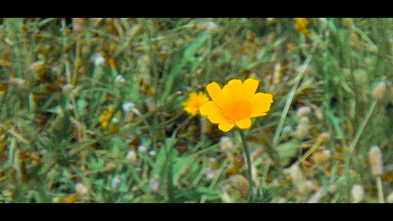 кадр из фильма Kinetic: The Art of Oneself