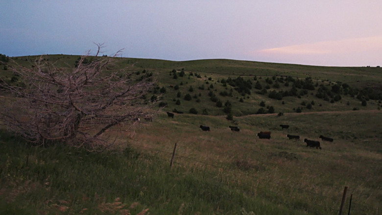 кадр из фильма Monowi