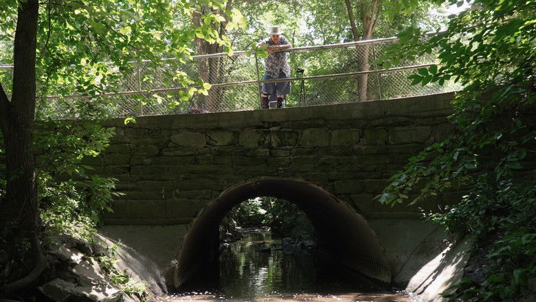 кадр из фильма Sherwood Park