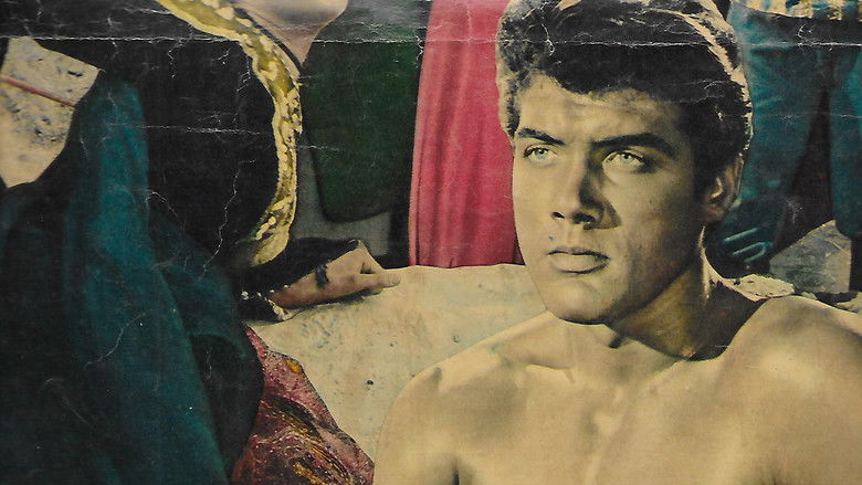 кадр из фильма La valle dell'eco tonante