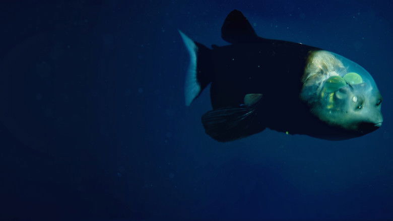 кадр из фильма World's Weirdest: Extreme Body Parts