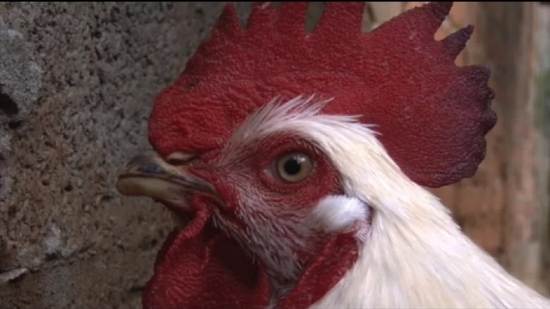 кадр из фильма La Santa Cena