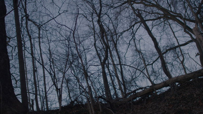 кадр из фильма The Boy and The Other