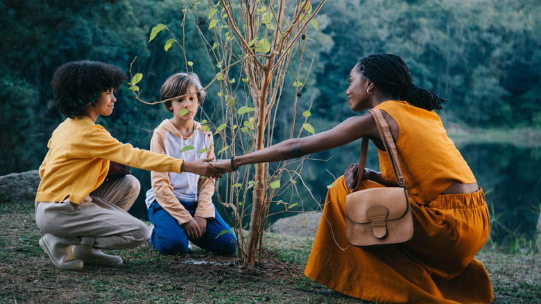 кадр из фильма É Tempo de Amoras