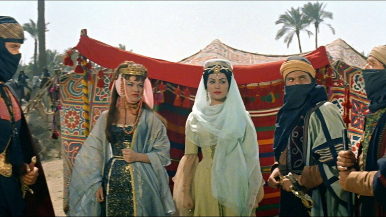 кадр из фильма Il figlio dello sceicco