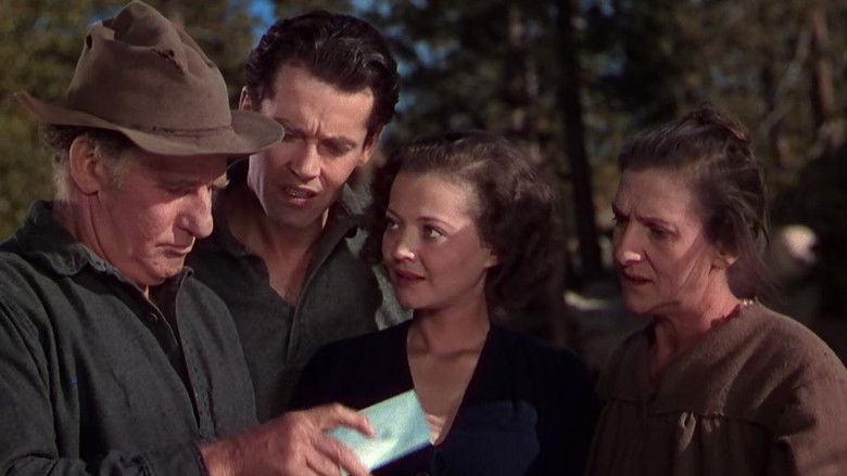 кадр из фильма Тропинка одинокой сосны