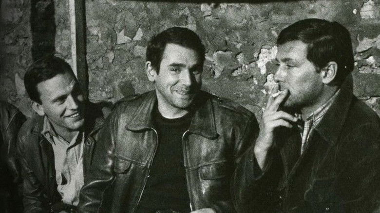 Hossein, Ronet, Trintignant : Confidences de trois acteurs inoubliables