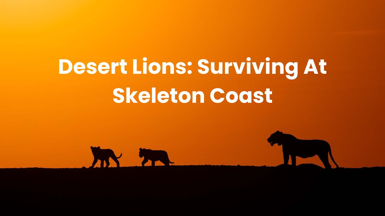 кадр из фильма Lions of the Skeleton Coast