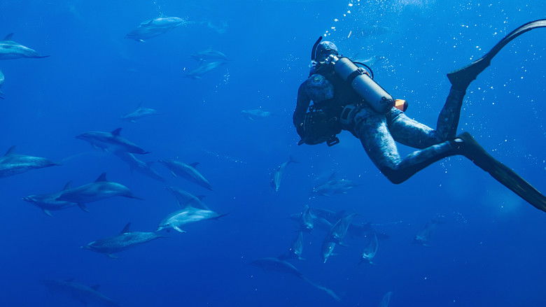 кадр из фильма В мире дельфинов с Берти Грегори