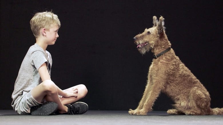 кадр из фильма Hund und Mensch: Das Geheimnis einer Freundschaft