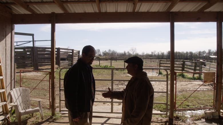 кадр из фильма The Fiddling Horse