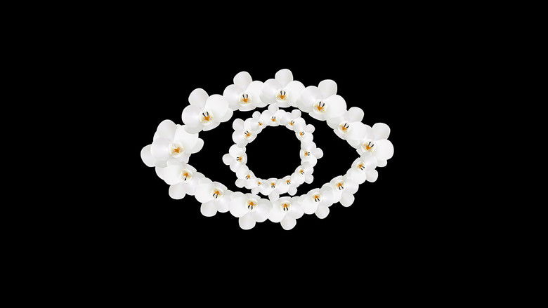 кадр из фильма Orchid Eye