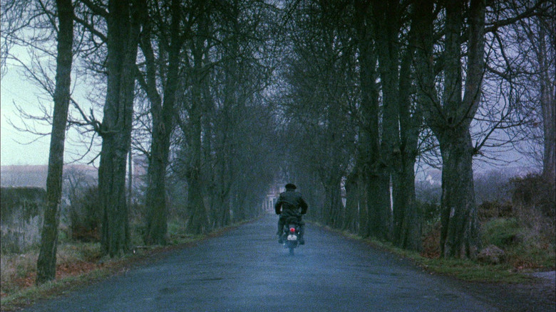 кадр из фильма Юг