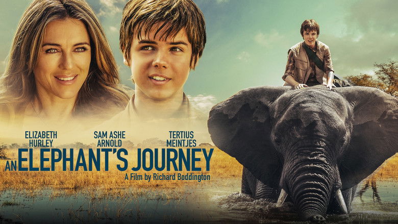 кадр из фильма An Elephant's Journey
