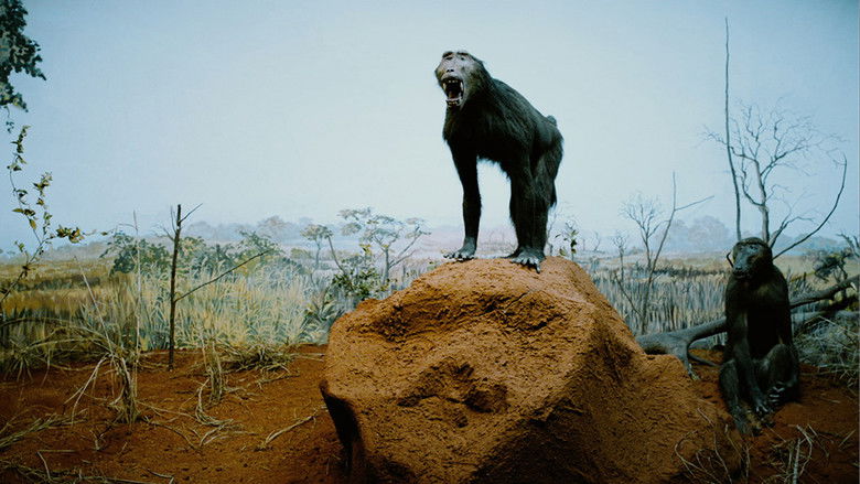 кадр из фильма Havemos de Voltar