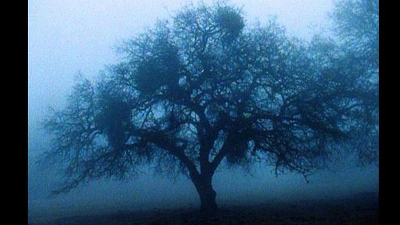 кадр из фильма Sogobi