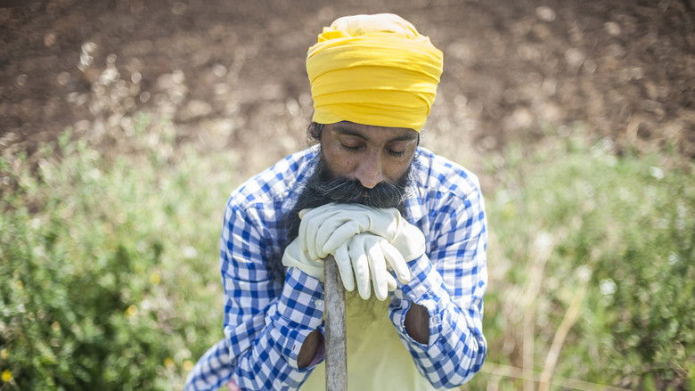 кадр из фильма The Harvest
