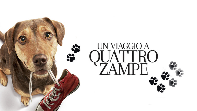 кадр из фильма Путь домой