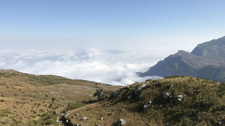 кадр из фильма Malawi