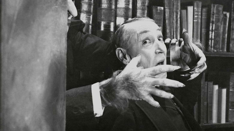 кадр из фильма Кот и канарейка