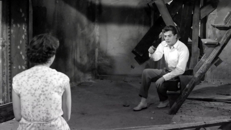 кадр из фильма Врач и знахарь