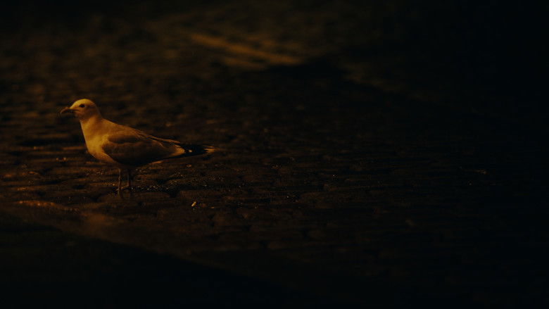 кадр из фильма Ikke Mat Måken