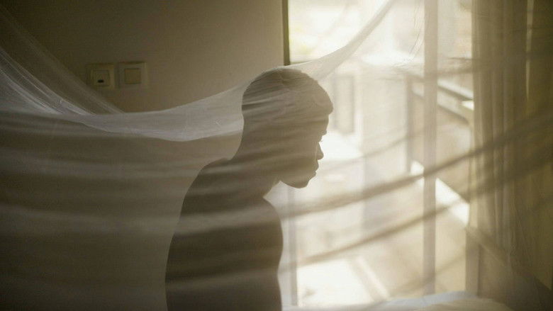 кадр из фильма Le temps d'une danse