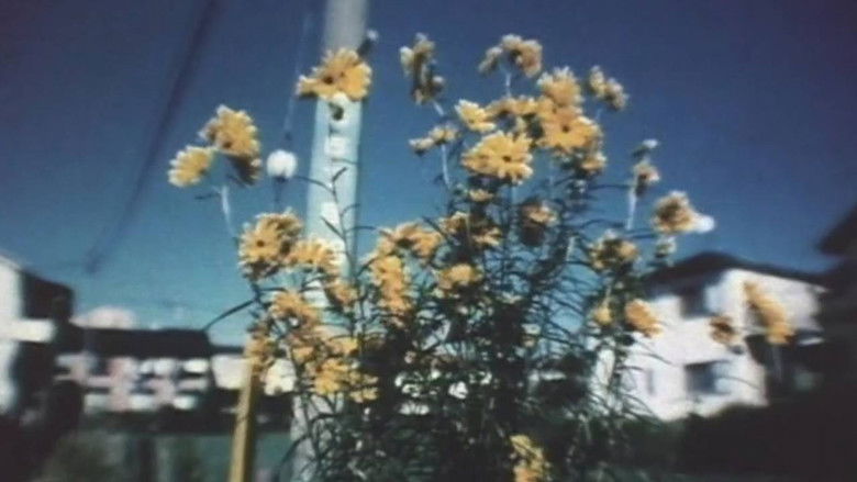 кадр из фильма Motion Photograffiti