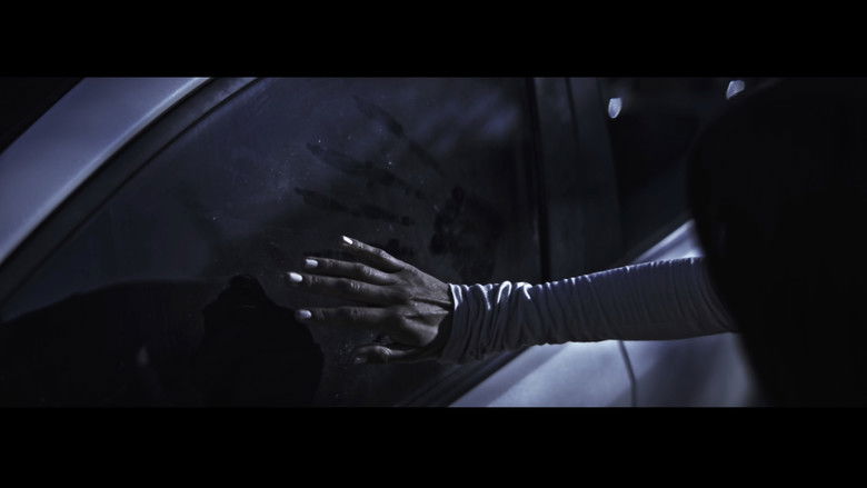 кадр из фильма The Black Dog