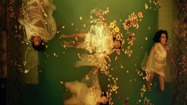 кадр из фильма La Pecera