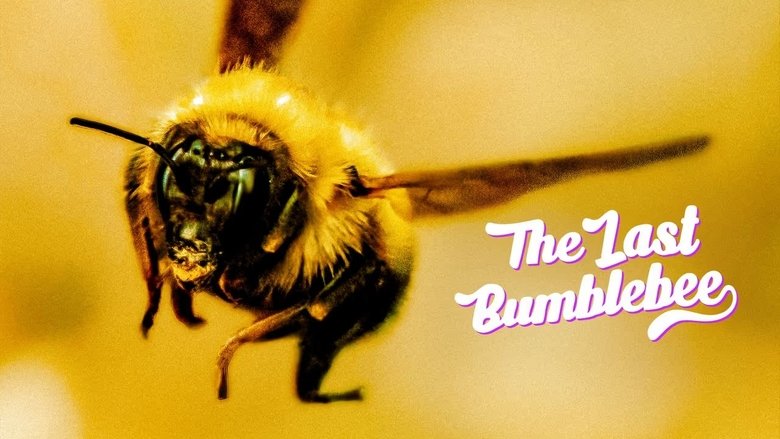 кадр из фильма The Last Bumblebee