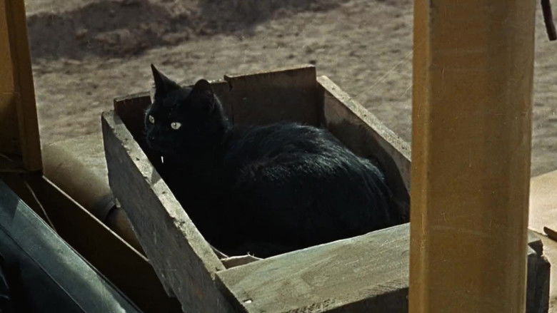 кадр из фильма Rage