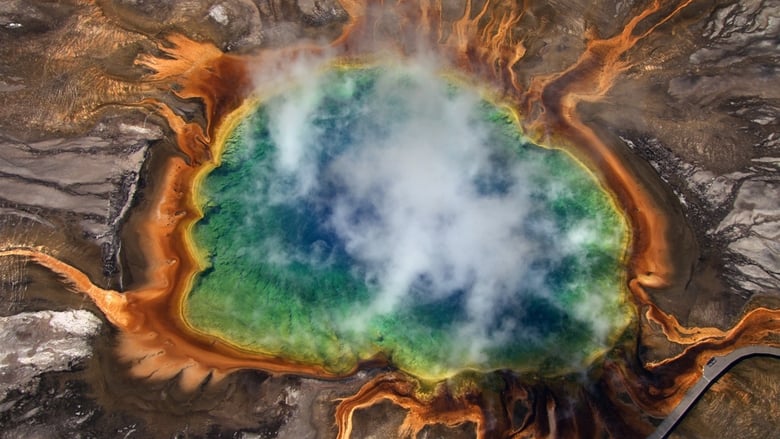 кадр из фильма Дом. История путешествия