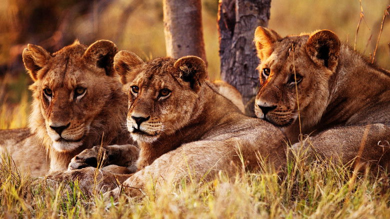 кадр из фильма Wild Botswana