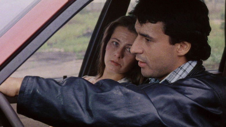 Полиция нравов