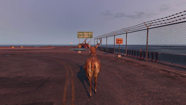 кадр из фильма San Andreas Streaming Deer Cam