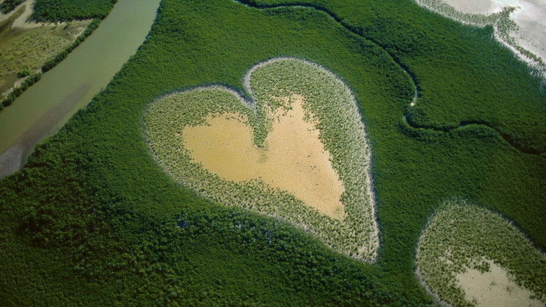 кадр из фильма Nature : pour une réconciliation