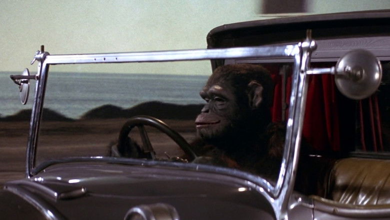 кадр из фильма Пляж бикини