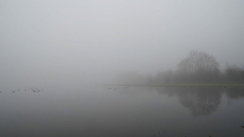 кадр из фильма Port Meadow