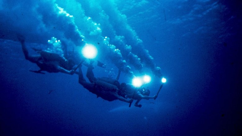 кадр из фильма В мире безмолвия