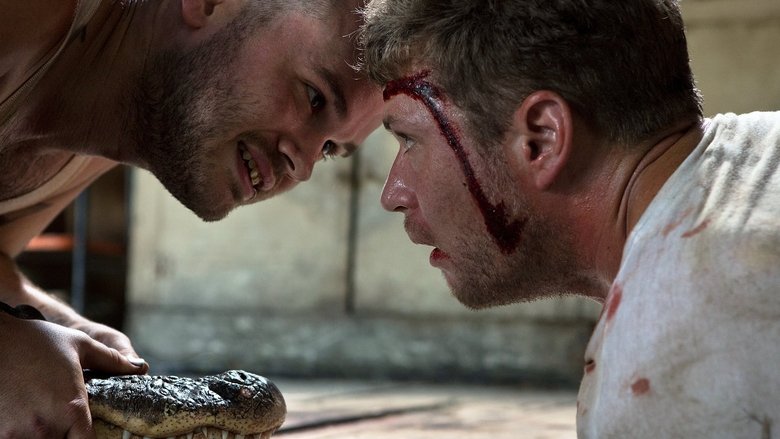 кадр из фильма Попал под раздачу