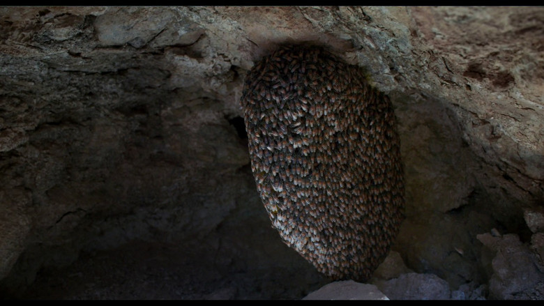 кадр из фильма عسل ومطر وغبار