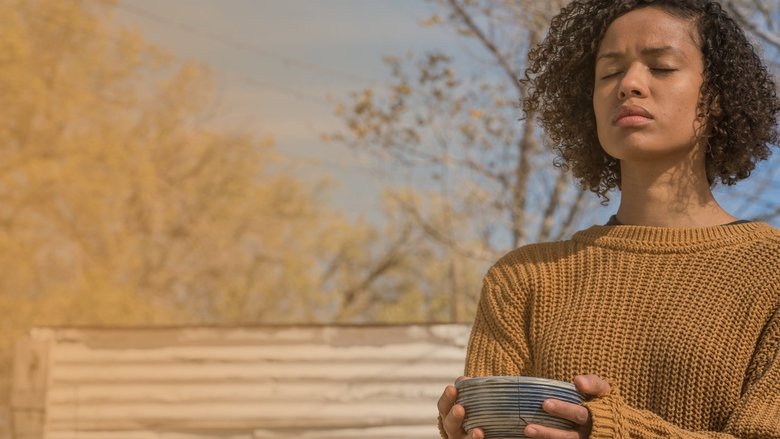 кадр из фильма Быстрый цвет