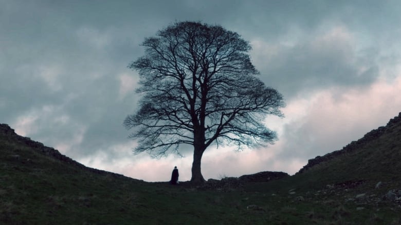 кадр из фильма The Sycamore Gap