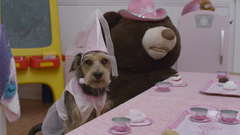 кадр из фильма Робопёс: Авиационный