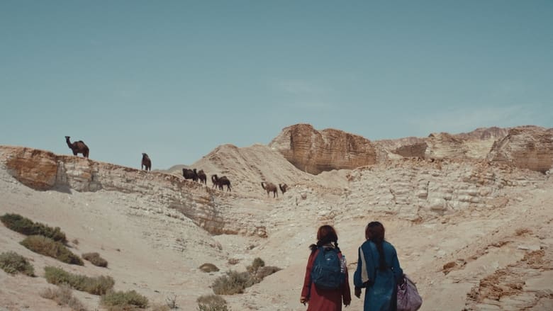 кадр из фильма A Calling. From the Desert. To the Sea